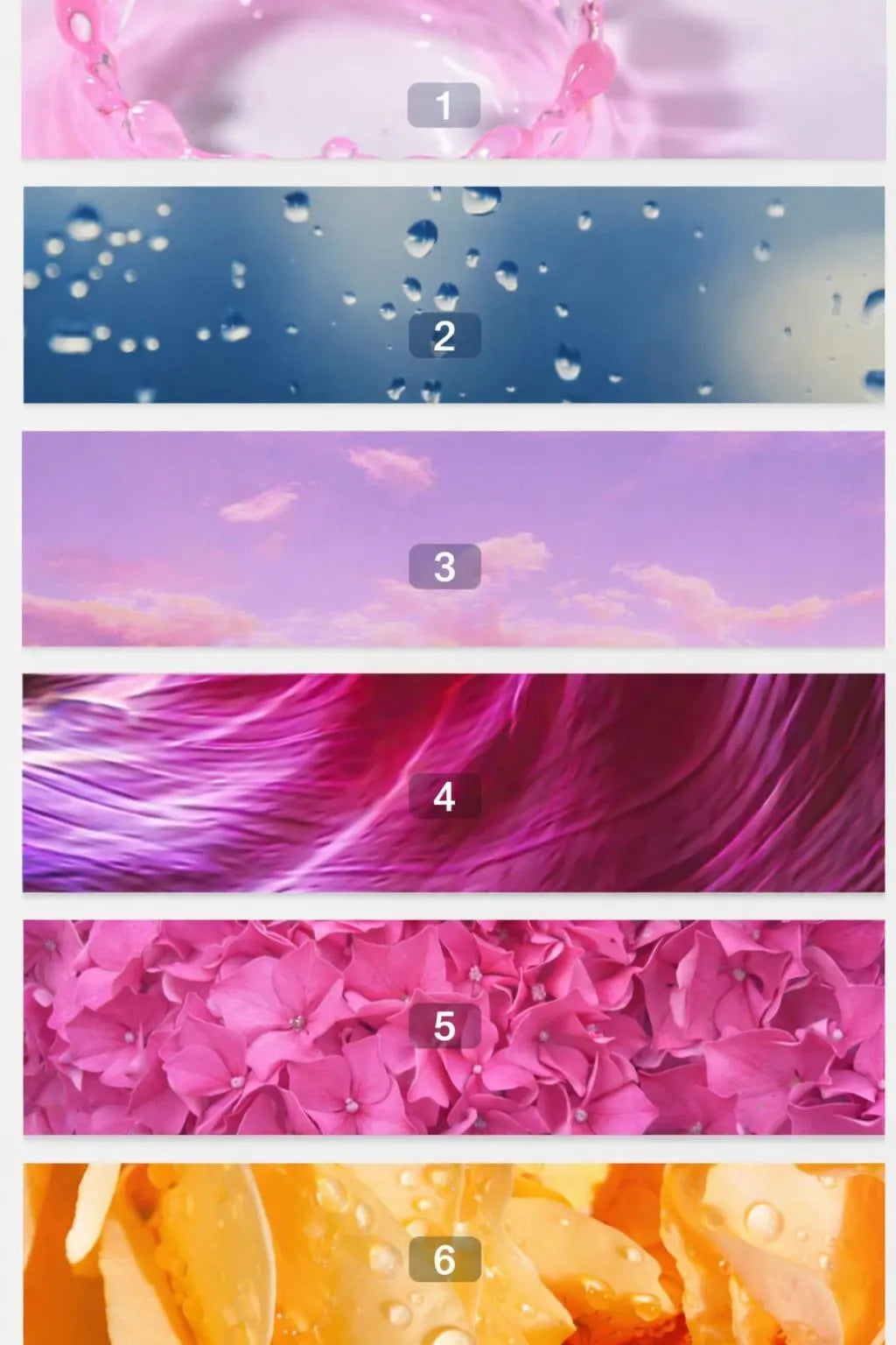 Personalized Book Purse